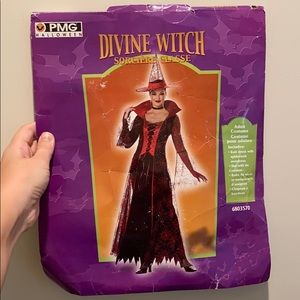 NEW-ish Divine Witch Sorceress Halloween Costume